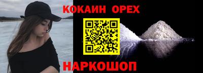 молекула духа Кингисепп