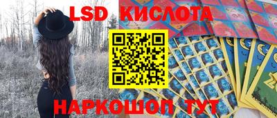 стаф Кимры