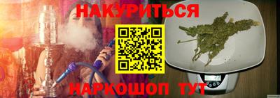 молекула духа Кингисепп