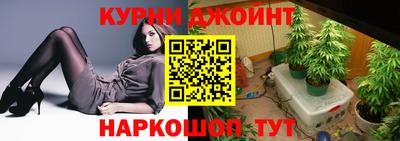 молекула духа Кингисепп