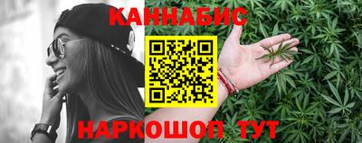 молекула духа Кингисепп