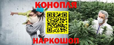 молекула духа Кингисепп