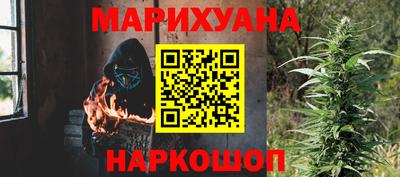 молекула духа Кингисепп