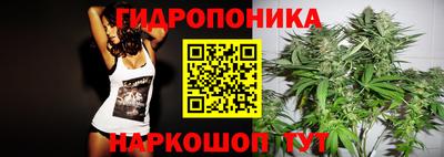 молекула духа Кингисепп