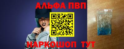 молекула духа Кингисепп