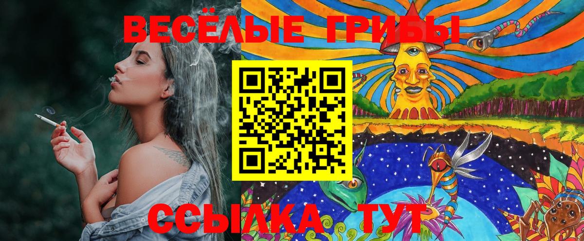 Галлюциногенные грибы Psilocybine cubensis Волхов