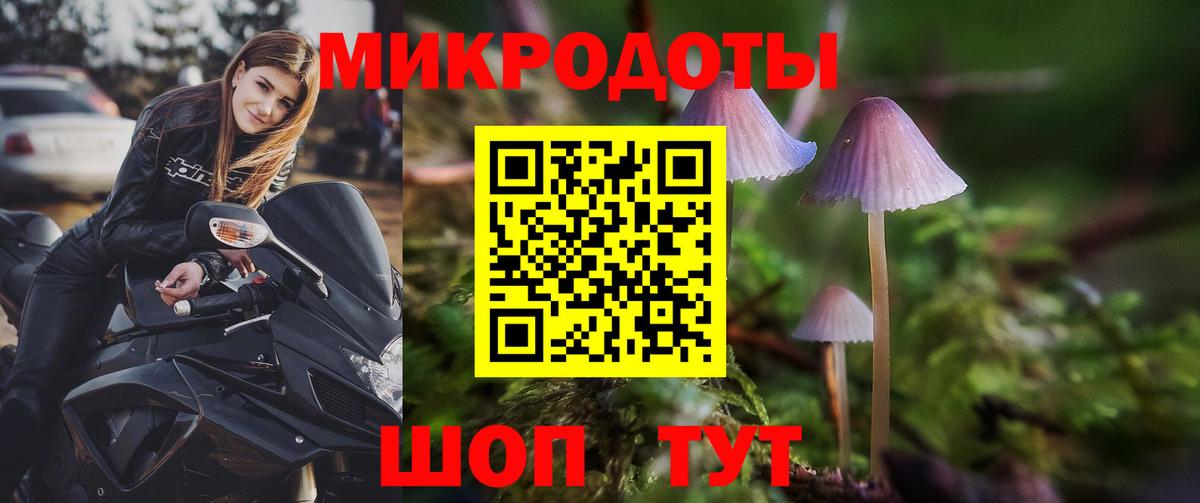 Псилоцибиновые грибы Psilocybine cubensis  купить наркотики цена  Волхов  Вход с VPN 